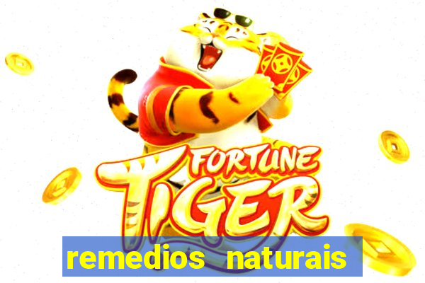 remedios naturais para diabetes